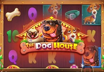 Microgaming - игровой автомат онлайн от Various с RTP 96.2%